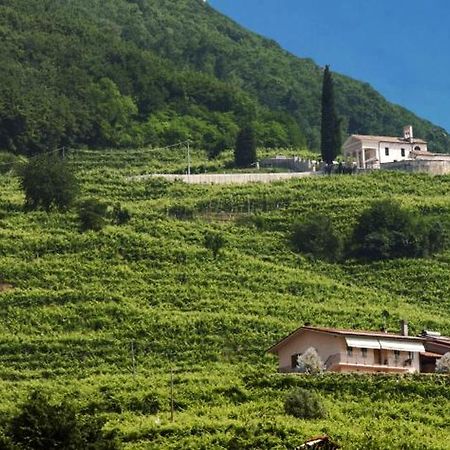 Casa Bortolin Bed & Breakfast Valdobbiadene Ngoại thất bức ảnh